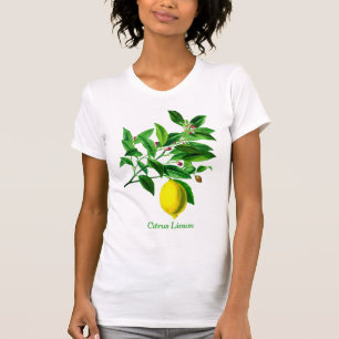 Camiseta Vintage Botanical Lemon Impressão