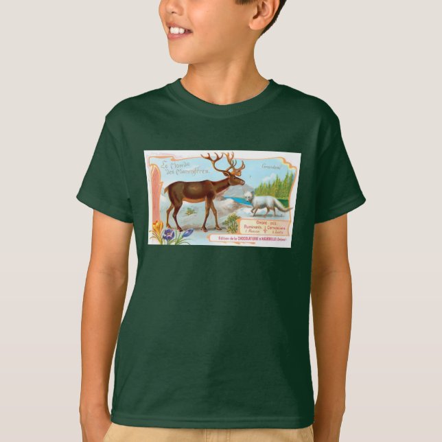 Camiseta Vintage Cariou (Reindeer) e Raposa Árctica (Frente)