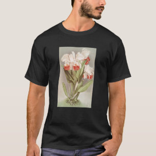 Camiseta Vintage Cattleya Mendelli, Duque De Marlborough Or