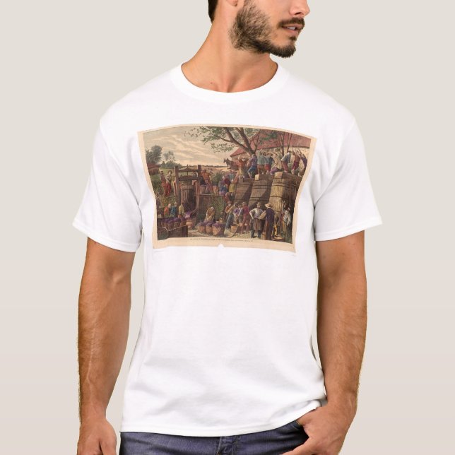 Camiseta Vintage em Califórnia (0604A) (Frente)