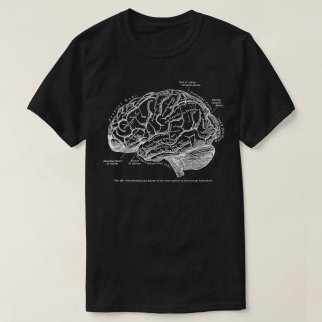 Camiseta Vintage Human Anatomy Brain (Frente do Design)