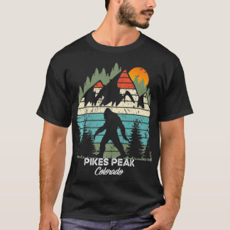 Camiseta Vintage Pikes Peak Colorado National Park Retro 80
