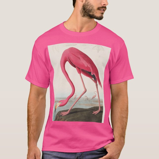 Camiseta Vintage Pink Flamingo Audubon (Frente)