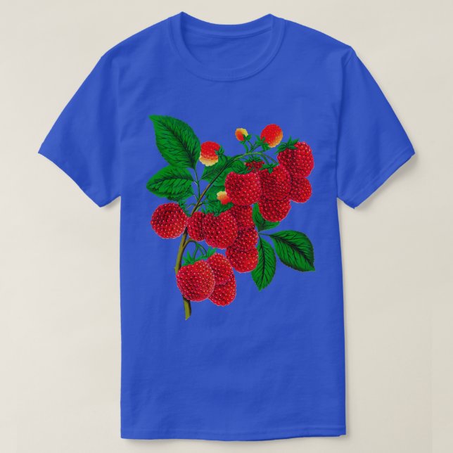 Camiseta Vintage Raspberry (Frente do Design)