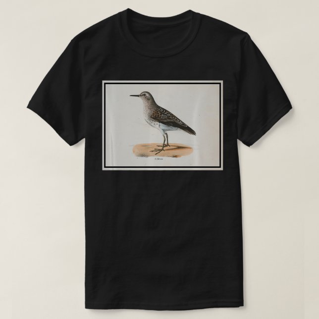 Camiseta Vintage Sandpiper Bird Illustration (1842) queen  (Frente do Design)