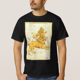 Camiseta Vintage Zodiac, Astrologia, Constelação de Leão Li