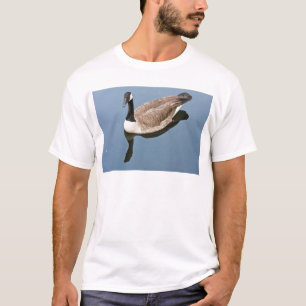 Camiseta Visitante Cabidiano
