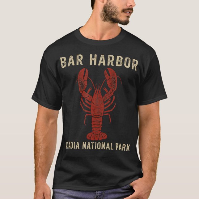 Camiseta Visite o Parque Nacional Acadia em Bar Harbor (Frente)