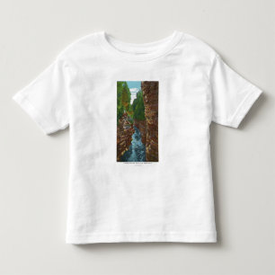 Camiseta Vista abaixo da falha de Ausable da caverna de
