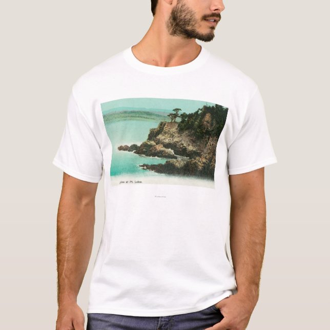 Camiseta Vista aérea da abóbada de Eagle no ponto Lobos (Frente)