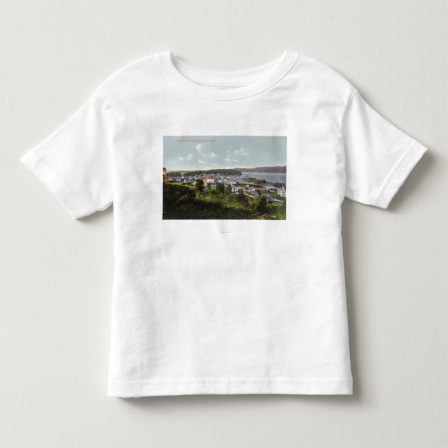 Camiseta Vista aérea da cidade e da baía dos Coos (Frente)