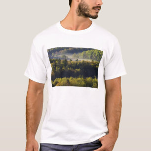 Camiseta Vista aérea da floresta em Cades Cove, Enfumaçad