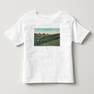 Camiseta Vista aérea das ameixas secas que secam no Sun