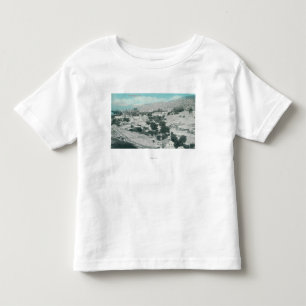Camiseta Vista aérea do TownMariposa, CA