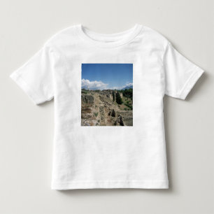 Camiseta Vista da cidade arruinada