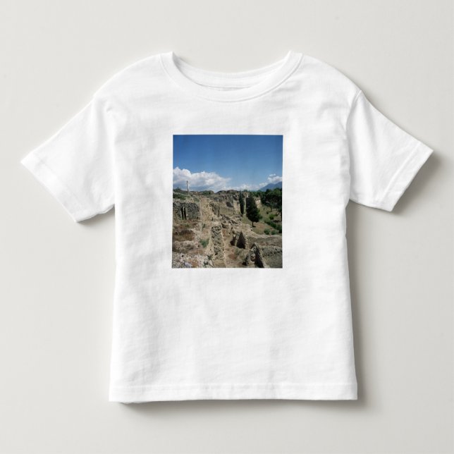 Camiseta Vista da cidade arruinada (Frente)