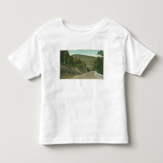 Camiseta Vista da fuga do Mohican (Frente)