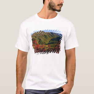 Camiseta Vista de outono da Linville Gorge muitas vezes cha
