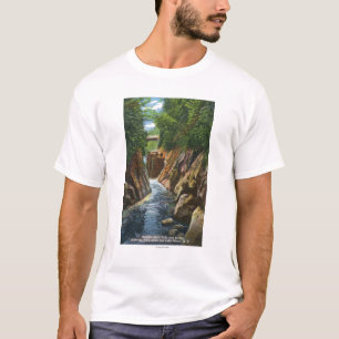 Camiseta Vista de quedas e de ponte do rio de Ausable