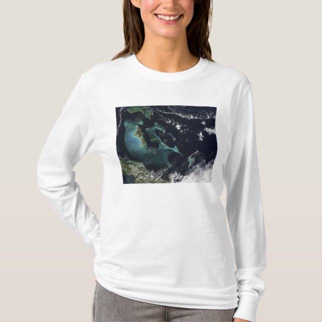 Camiseta Vista de satélite das Ilhas Bahama (Frente)