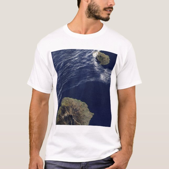 Camiseta Vista de satélite das Ilhas Príncipe Edward (Frente)