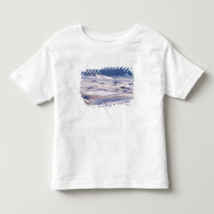Camiseta Vista de Steptoe Butte de colinas onduladas cobert