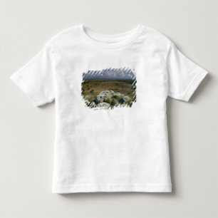 Camiseta Vista de Troy da paisagem circunvizinha
