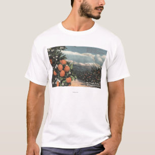 Camiseta Vista de um pomar alaranjado com montanhas