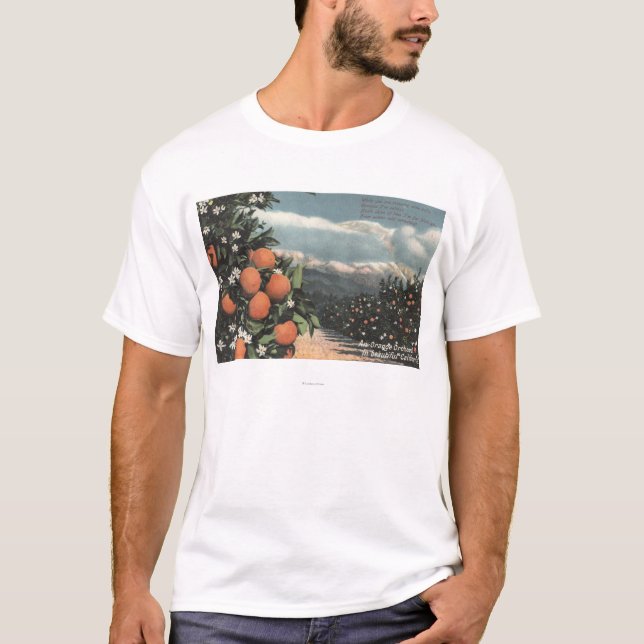 Camiseta Vista de um pomar alaranjado com montanhas (Frente)