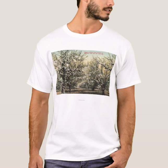 Camiseta Vista de um pomar da ameixa seca de 300.000 (Frente)