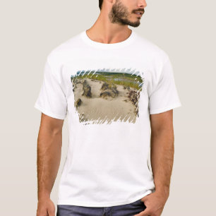 Camiseta Vista de um topo de colina arenoso de lagos e coli