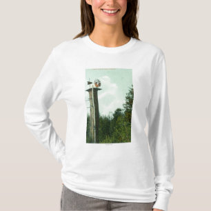 Camiseta Vista de um vento MillEureka da sequóia, CA