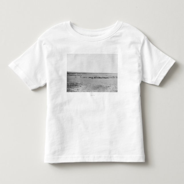 Camiseta Vista Distante de Cowboys com Bovinos (Frente)