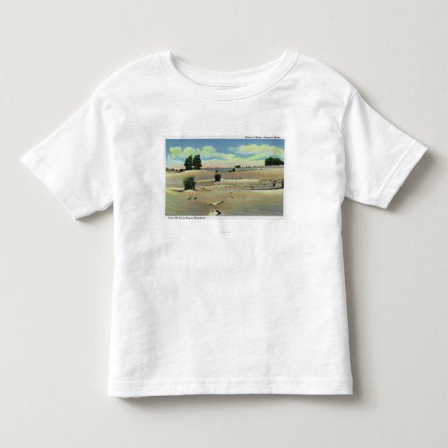 Camiseta Vista do deserto de Maine (Frente)
