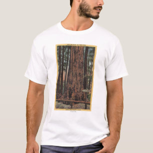 Camiseta Vista do "do disjuntor pescoço" no parque grande