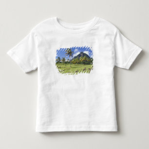 Camiseta vista do Gros Piton ao longo da trilha histórica e