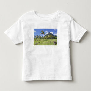 Camiseta vista do Gros Piton ao longo da trilha histórica e