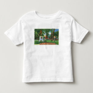 Camiseta Vista do monumento no parque de Wisner