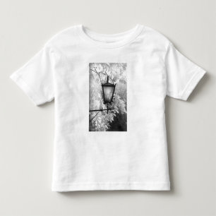 Camiseta Vista em preto e branco de luminária