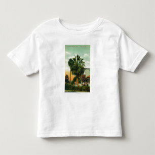 Camiseta Vista exterior da palma do au do hotel