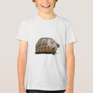 Camiseta Vista lateral de uma tartaruga turca andando