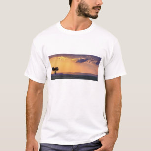 Camiseta Vista panorâmica da acácia-solteiro na