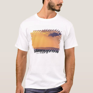 Camiseta vista panorâmica de uma única árvore acácia em