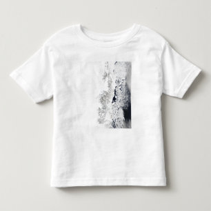 Camiseta Vista satélite da costa oriental de Greenlan