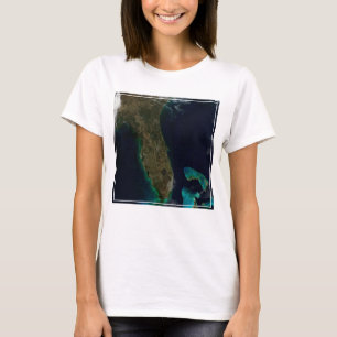 Camiseta Vista Satélite Da Flórida.