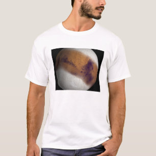 Camiseta Vista simulada de Marte