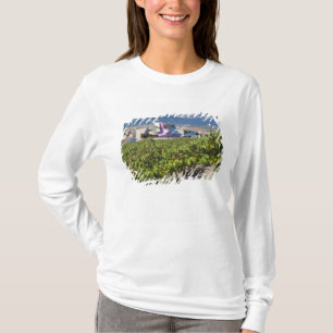 Camiseta Vista urbana elevada e Hotel Marques de Riscal