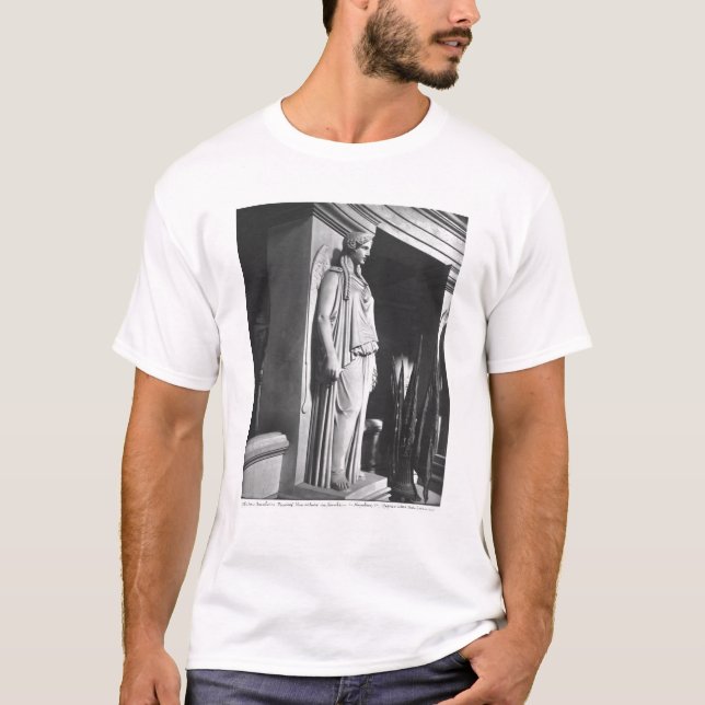 Camiseta Vitória voada (Frente)
