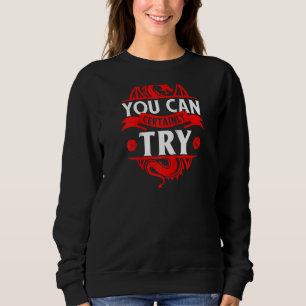 Camiseta Você Certamente Pode Tentar Rpg Raglan Engraçado