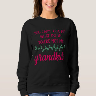 Camiseta Você não pode me dizer o que fazer Você não é minh